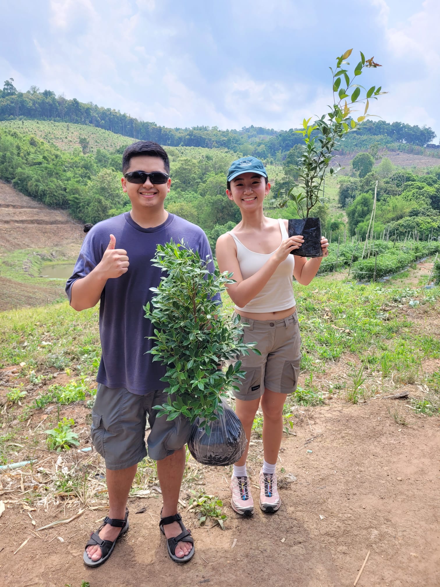 Jungle and Reforestation Adventure 